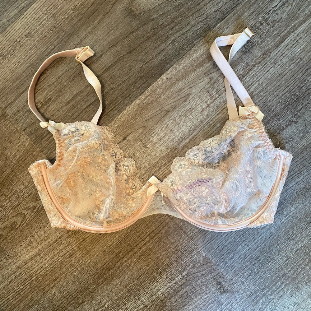 Agent Provocateur bra! Light pink mesh with darker pink embroidered flowers.